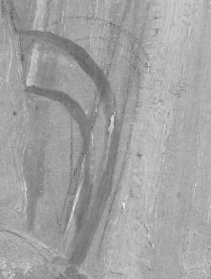 IIIF Image
