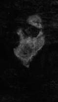 IIIF Image