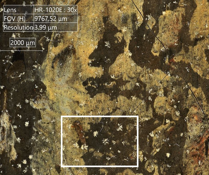 IIIF Image