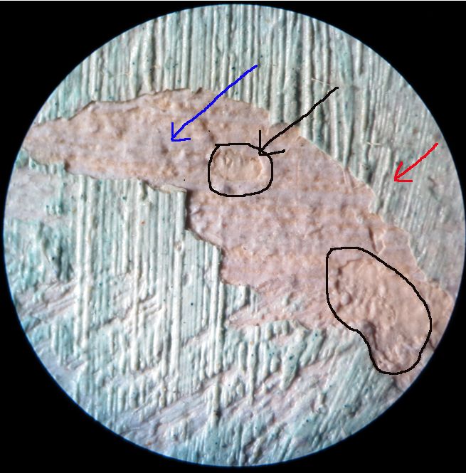 IIIF Image
