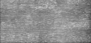IIIF Image