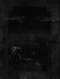 IIIF Image