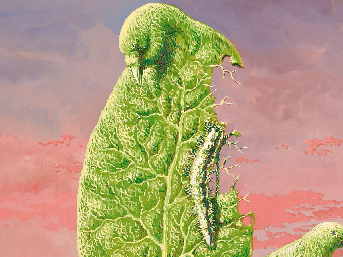 Collection du musée & exposition Magritte. La ligne de vie