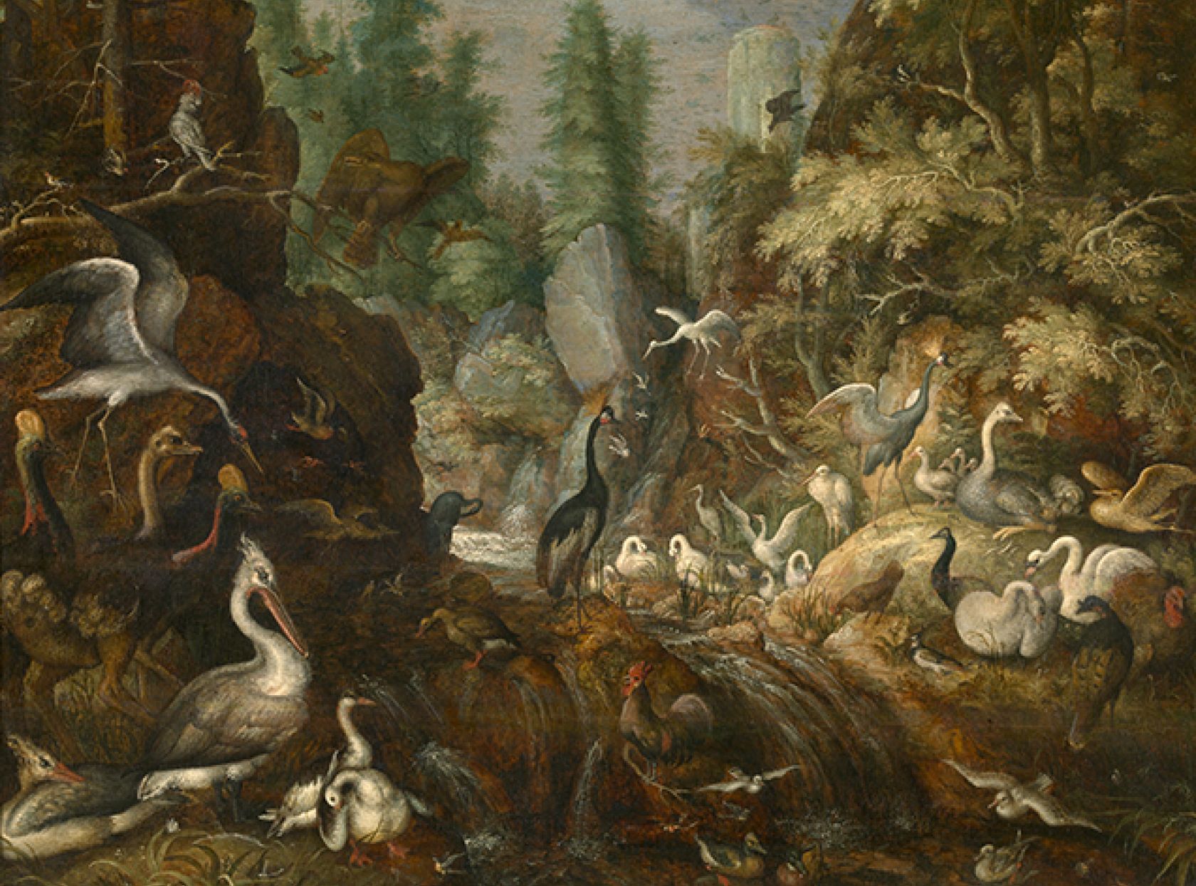 Schilderij Paradijs van de vogels Roelant Savery